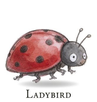 Ladybird