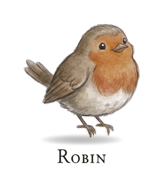 Robin