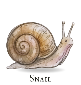 Snail